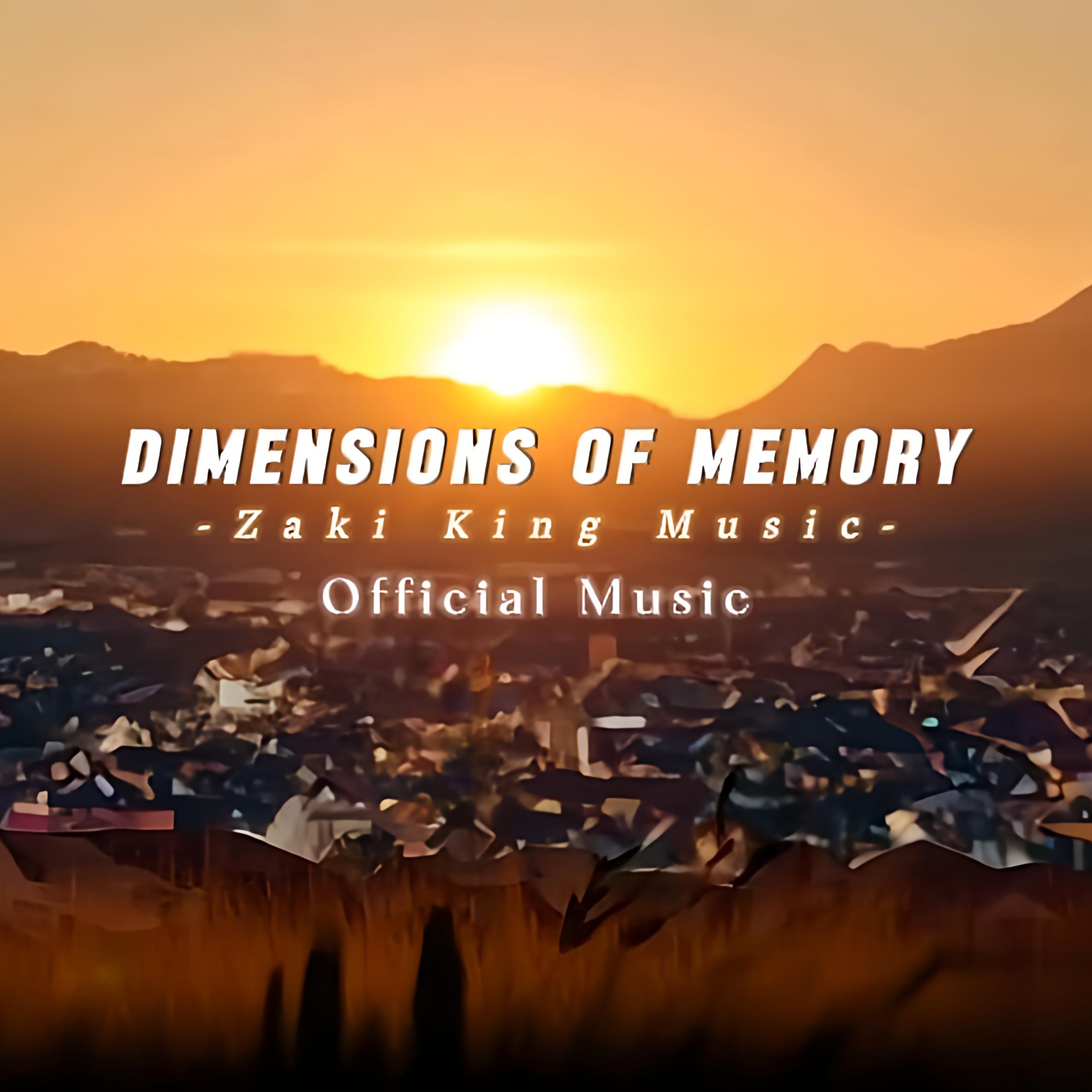 Dimensions Of Memory